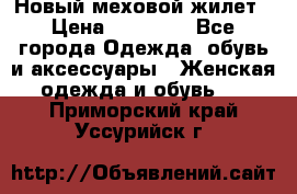 Новый меховой жилет › Цена ­ 14 000 - Все города Одежда, обувь и аксессуары » Женская одежда и обувь   . Приморский край,Уссурийск г.